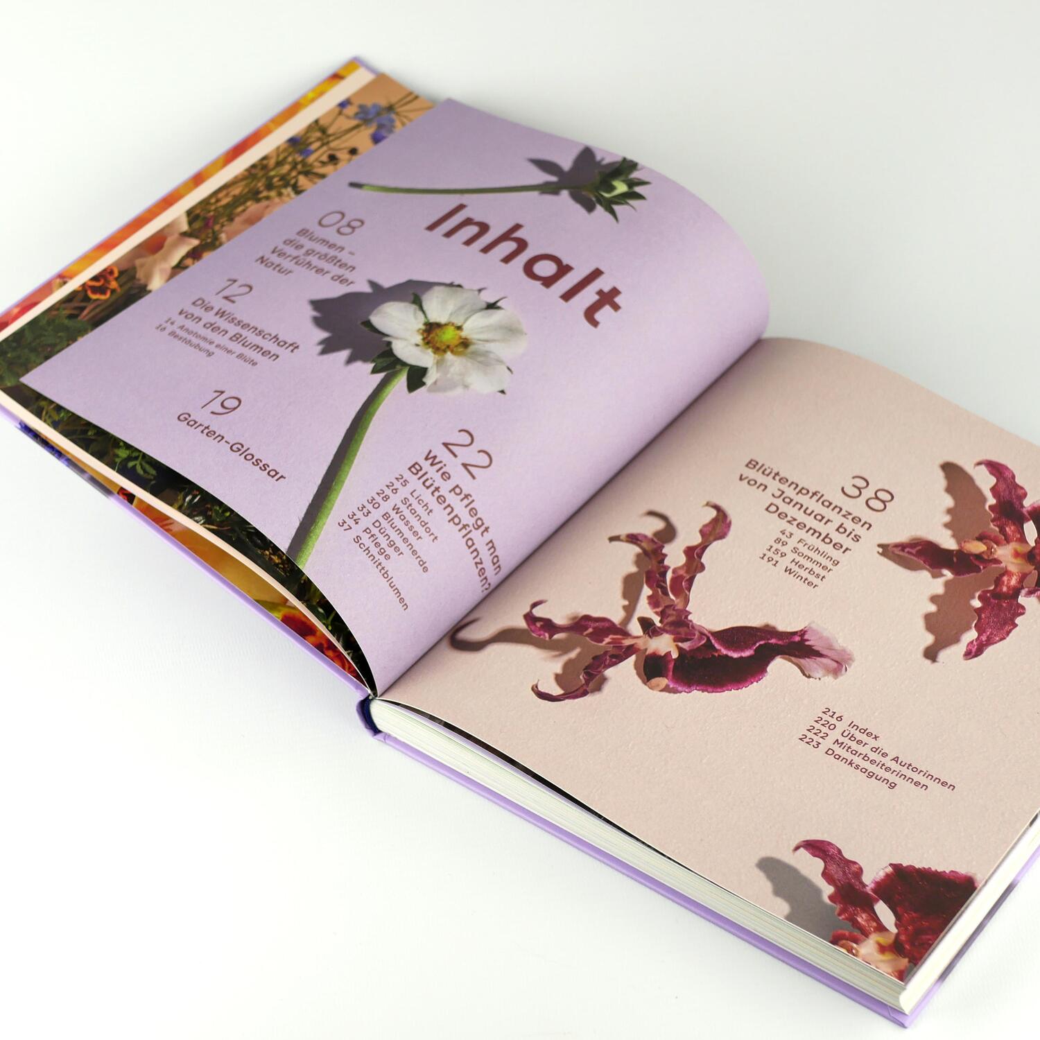 Bild: 9783747406014 | Blütenmeer für dein Zuhause | Lauren Camilleri (u. a.) | Buch | 224 S.