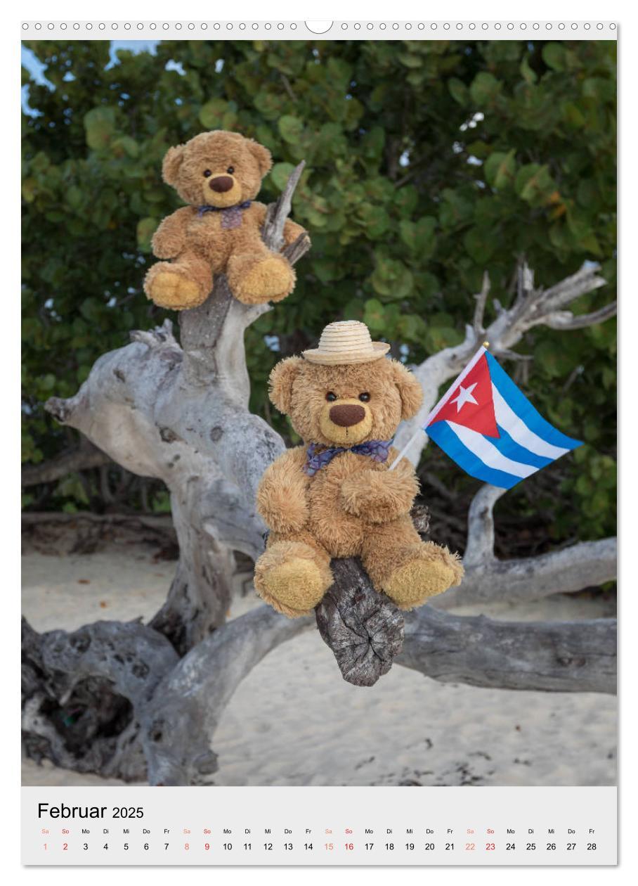 Bild: 9783435922116 | Travelling Teddy auf Welt-Tour (hochwertiger Premium Wandkalender...