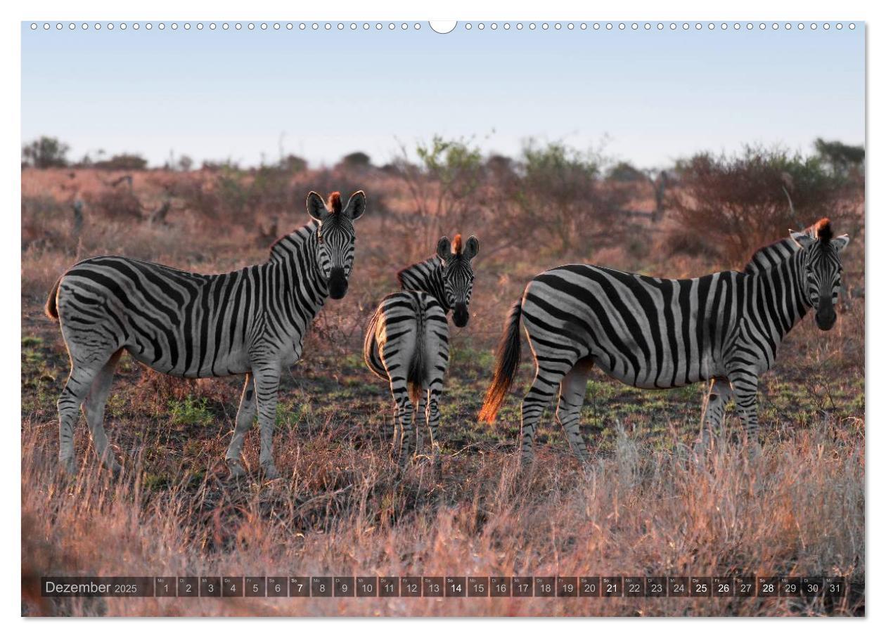 Bild: 9783435600380 | Botswana ¿ Landschaft und Tierwelt (hochwertiger Premium...