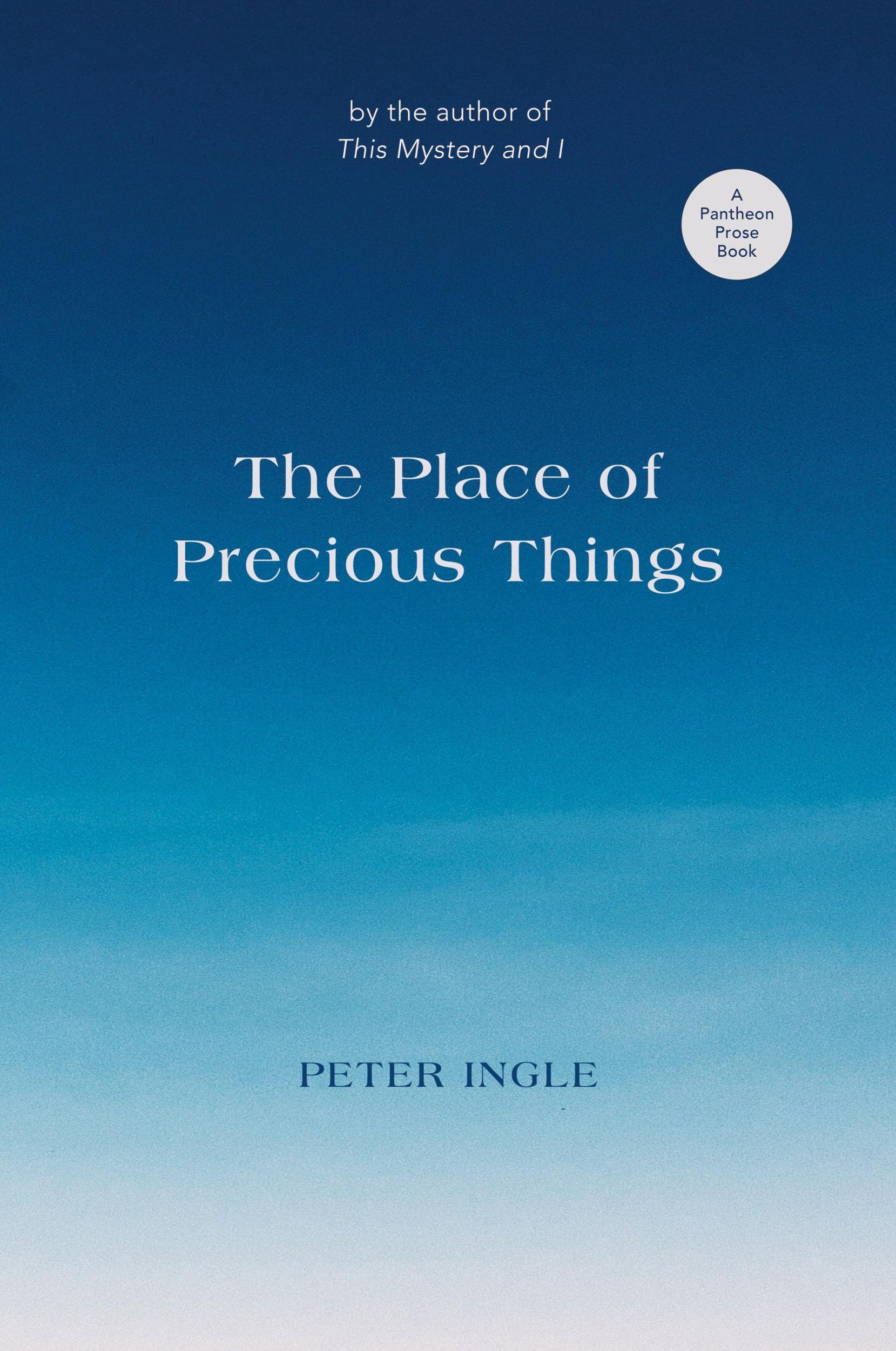 Cover: 9781736742532 | The Place of Precious Things | Peter Ingle | Taschenbuch | Englisch