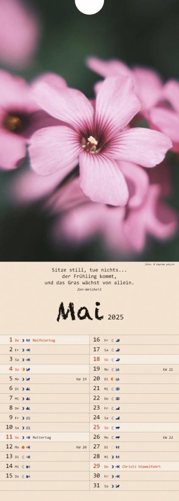 Bild: 9783948276355 | Spirit of Meditation. Kalender 2025 | Kalender | 14 S. | Deutsch