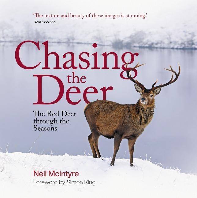 Cover: 9781913207274 | Chasing the Deer: The Red Deer Through the Seasons | Neil Mcintyre