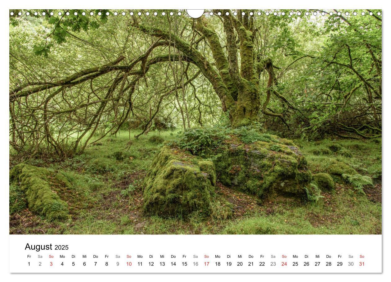 Bild: 9783435516506 | Foto-Momente Süd-England - Magische Orte (Wandkalender 2025 DIN A3...