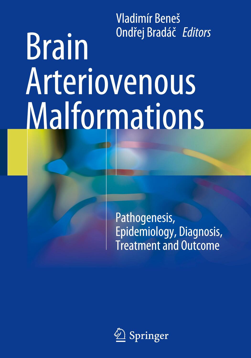 Cover: 9783319639635 | Brain Arteriovenous Malformations | Ond¿ej Bradá¿ (u. a.) | Buch | vi
