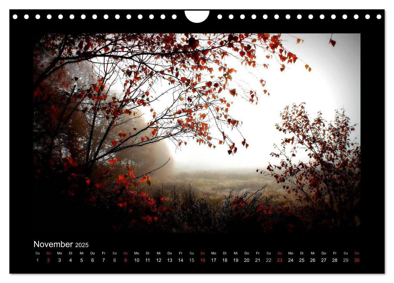 Bild: 9783435732074 | Landschaft Teufelsmoor / 2025 (Wandkalender 2025 DIN A4 quer),...