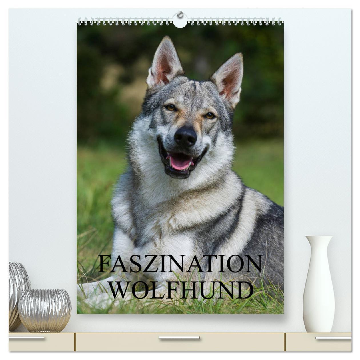 Cover: 9783383426902 | Faszination Wolfhund (hochwertiger Premium Wandkalender 2024 DIN A2...