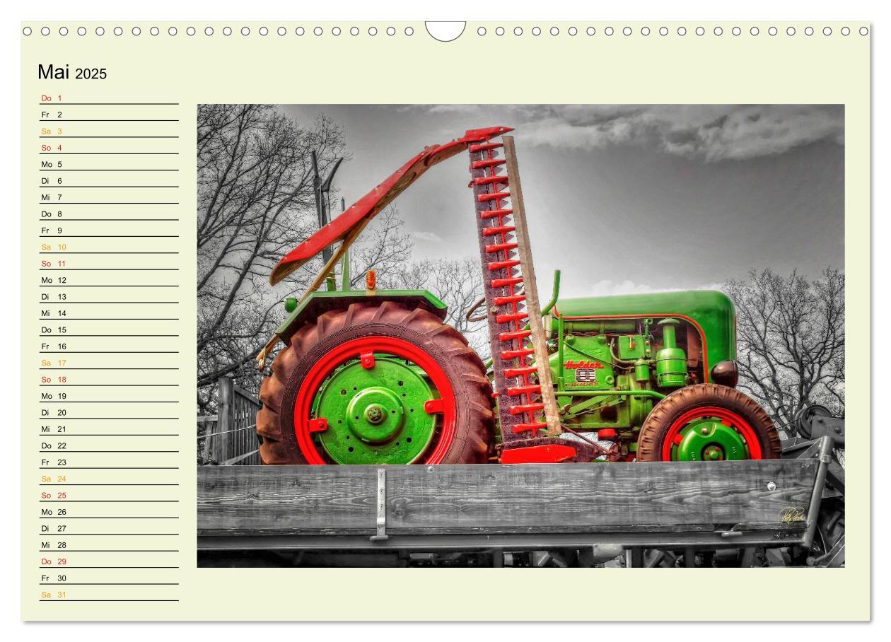 Bild: 9783435586202 | Traktoren - Oldtimer (Wandkalender 2025 DIN A3 quer), CALVENDO...