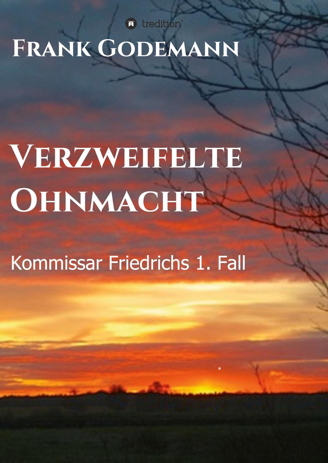 Cover: 9783746904269 | Verzweifelte Ohnmacht | Kommissar Friedrichs 1. Fall | Frank Godemann