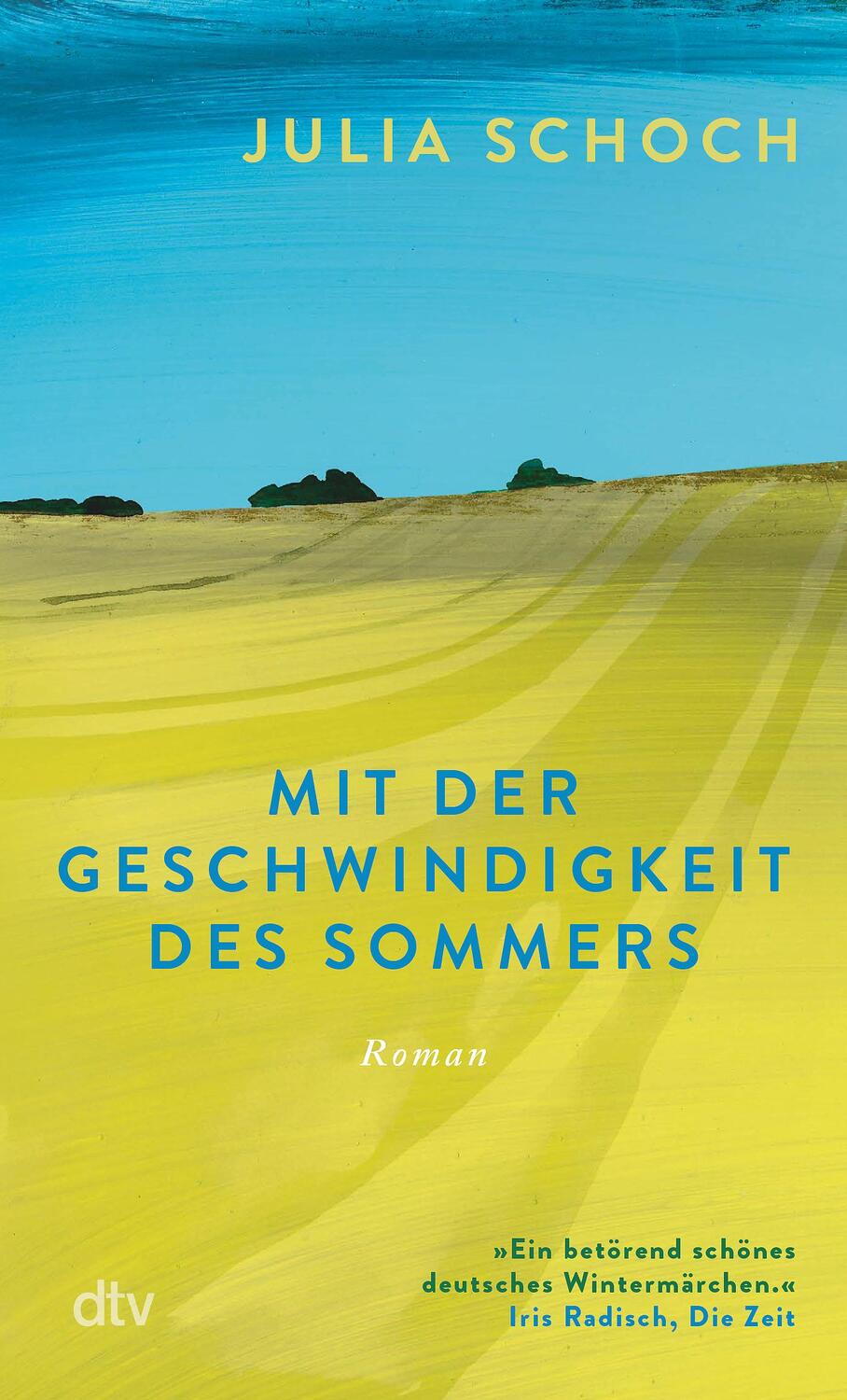Cover: 9783423148511 | Mit der Geschwindigkeit des Sommers | Julia Schoch | Taschenbuch