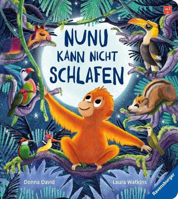 Cover: 9783473417841 | Nunu kann nicht schlafen - eine liebevoll erzählte...