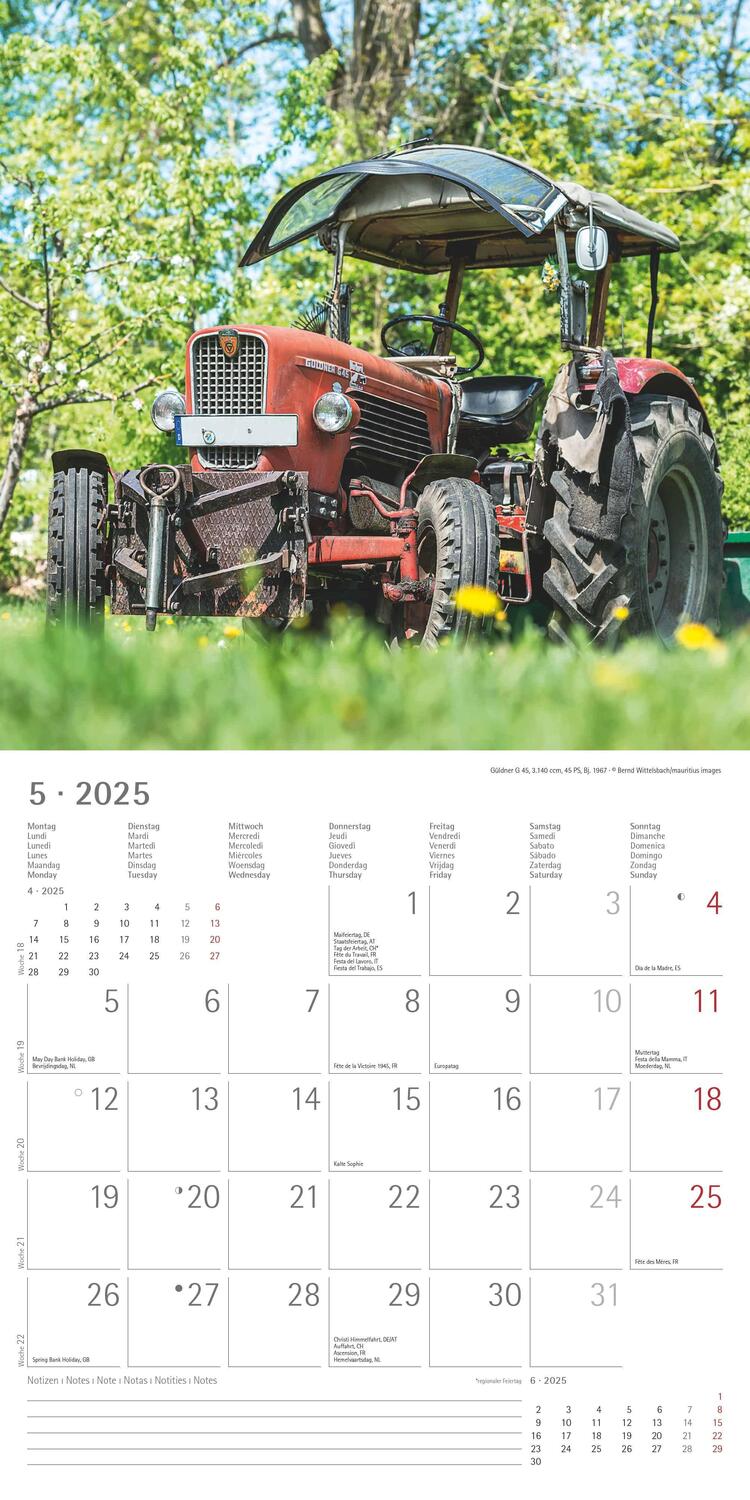 Bild: 4251732343170 | Traktoren Classics 2025 - Broschürenkalender 30x30 cm (30x60...