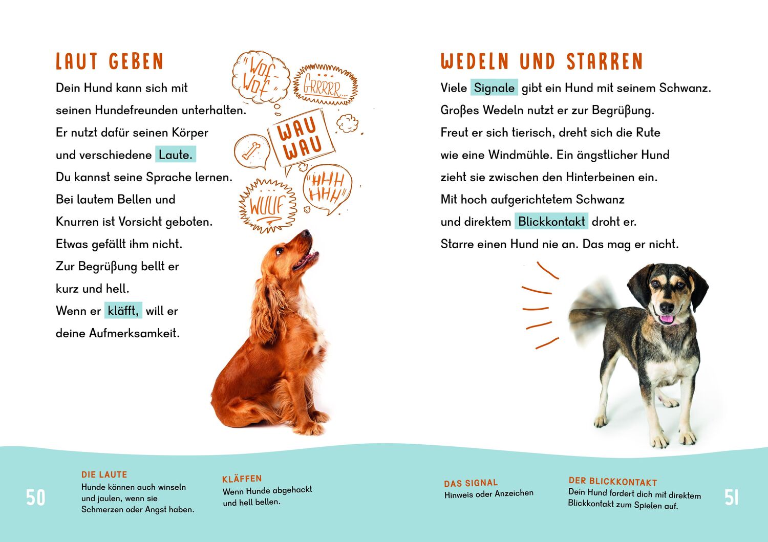 Bild: 9783411780044 | Dein Lesestart - Hunde | Karolin Küntzel | Buch | Deutsch | 2022