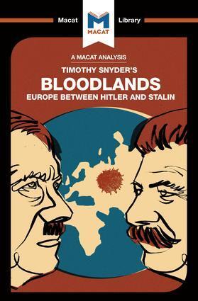 Cover: 9781912128976 | An Analysis of Timothy Snyder's Bloodlands | Helen Roche | Taschenbuch