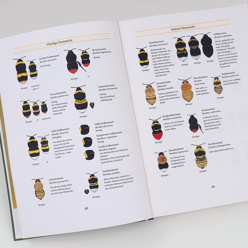 Bild: 9783446269293 | Bienenweide und Hummelparadies | Dave Goulson | Buch | 352 S. | 2021