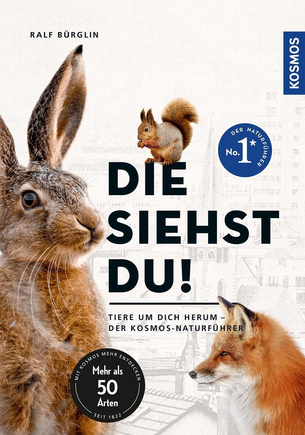 Cover: 9783440172391 | Die siehst du - Die Tiere um dich herum | Hase, Fuchs & Co. | Bürglin