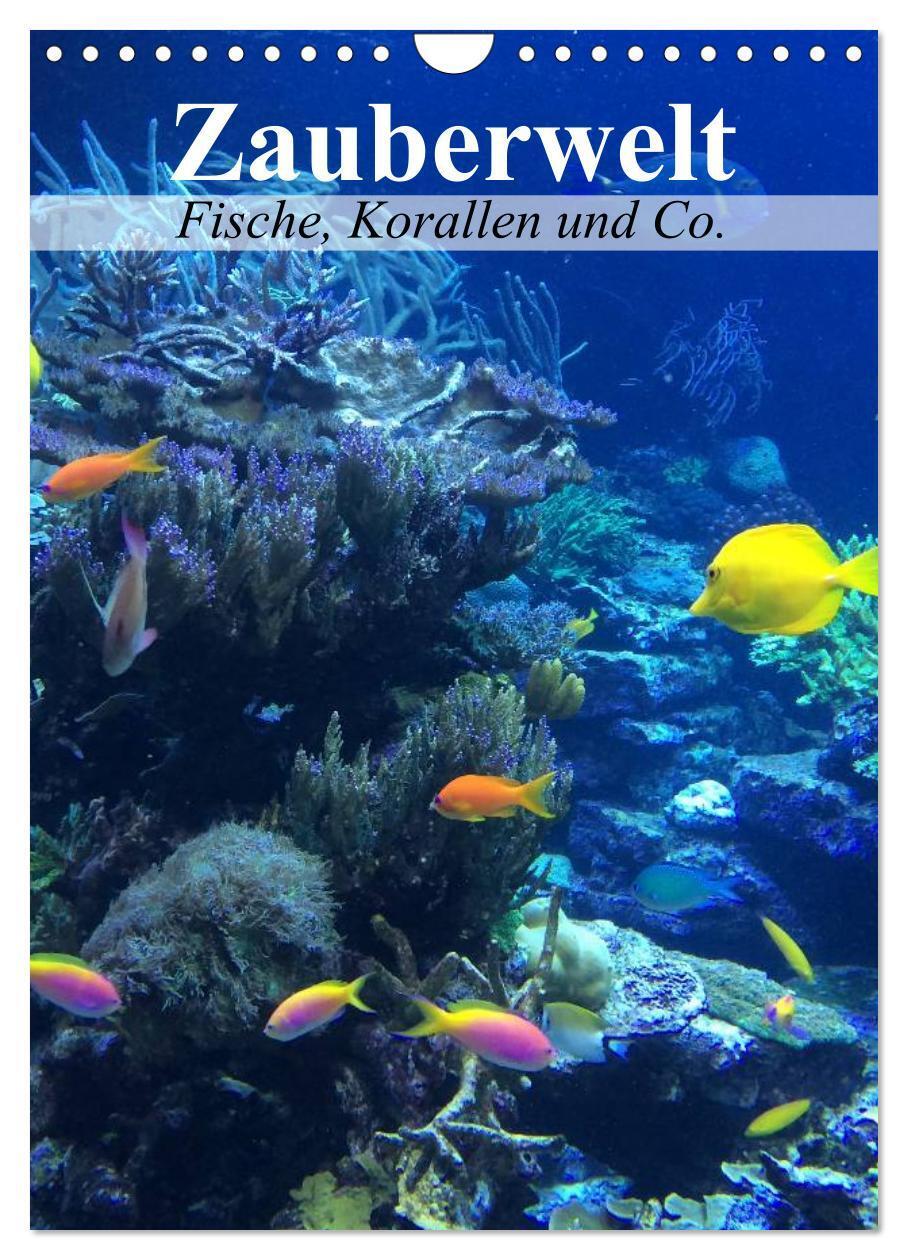 Cover: 9783383379871 | Zauberwelt. Fische, Korallen und Co. (Wandkalender 2024 DIN A4...