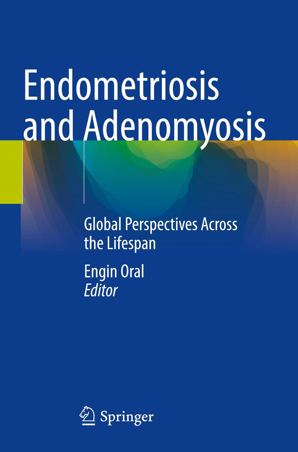 Cover: 9783030972387 | Endometriosis and Adenomyosis | Engin Oral | Taschenbuch | Paperback