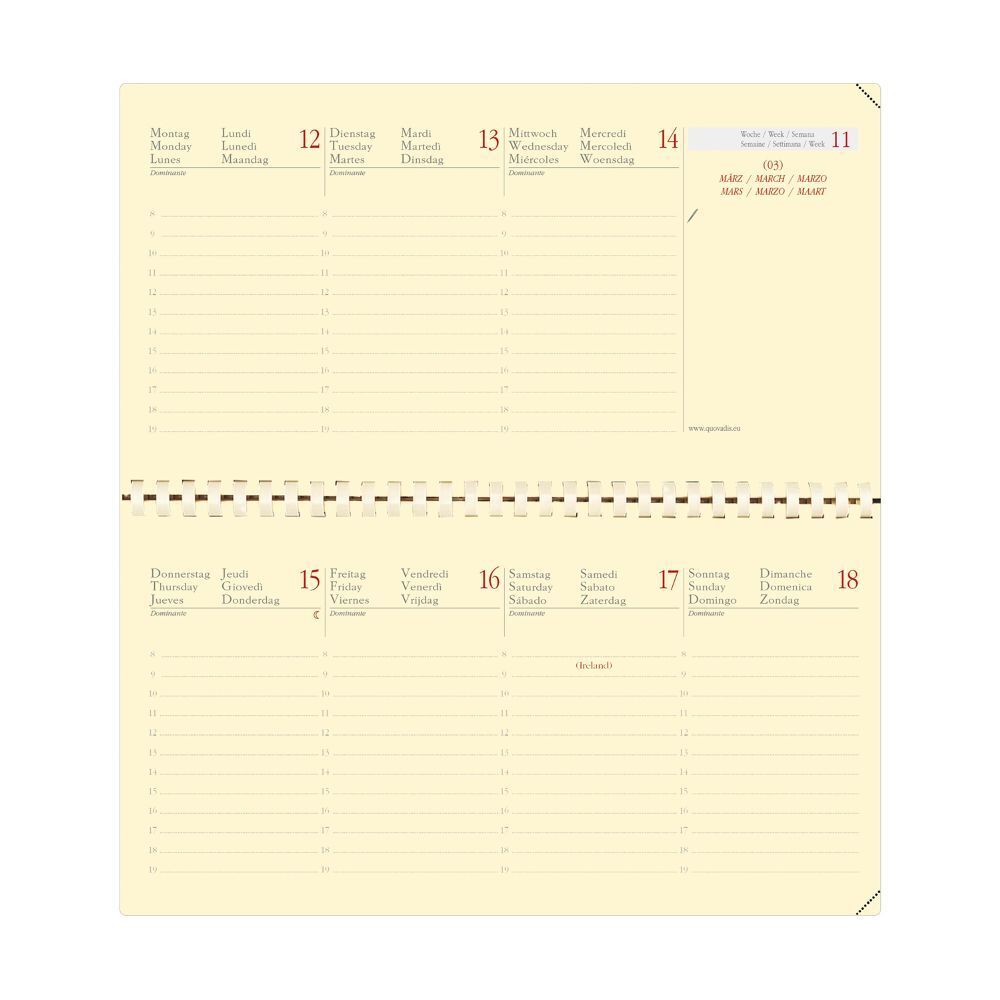 Bild: 3371010499304 | PLANITAL rep ML Marlow camel | Terminkalender Taschenformat | Kalender