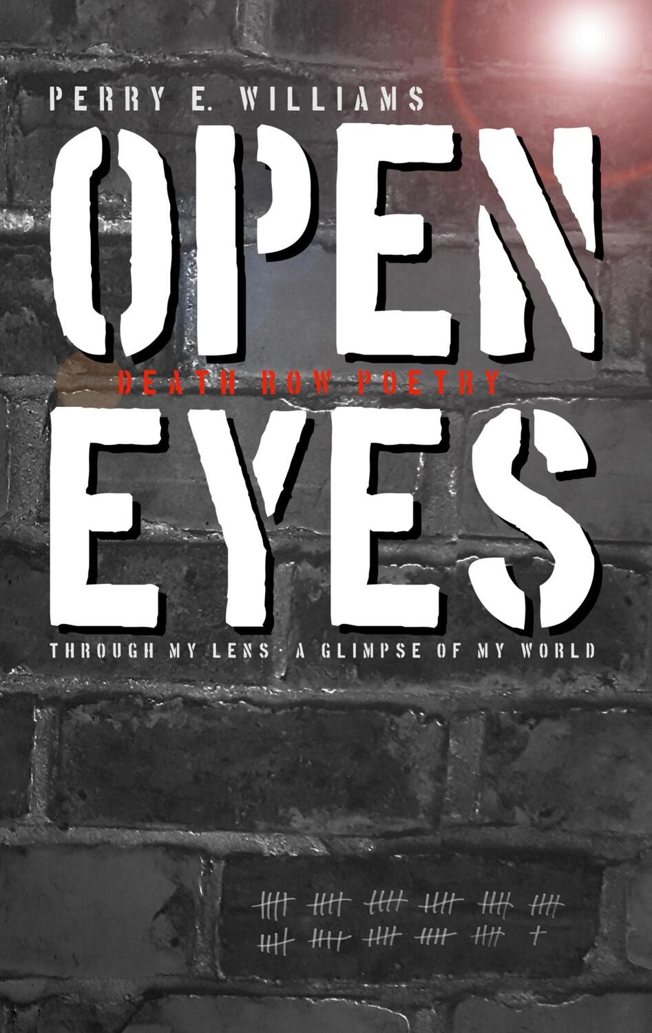 Cover: 9783743118454 | Open eyes | Through my lens - A glimpse of my world | Williams | Buch