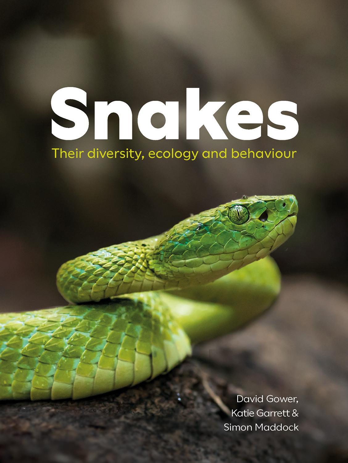 Cover: 9780565095505 | Snakes | Their diversity, ecology and behaviour | David Gower (u. a.)