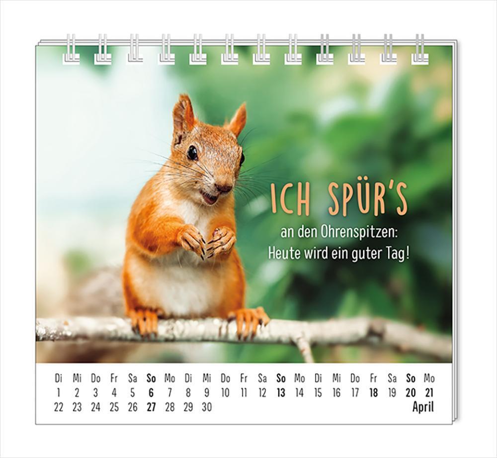 Bild: 9783986361099 | Mini-Kalender 2025 Happymacher | Mini-Kalender | Original | Kalender