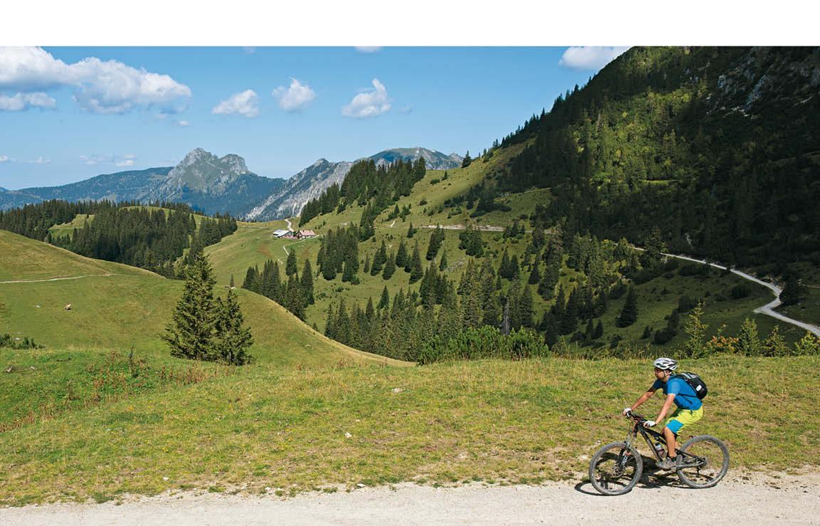 Bild: 9783763350247 | Bike Guide Allgäuer Alpen | Stephan Baur (u. a.) | Taschenbuch | 2022
