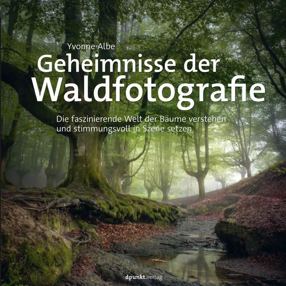 Cover: 9783864909542 | Geheimnisse der Waldfotografie | Yvonne Albe | Buch | XX | Deutsch