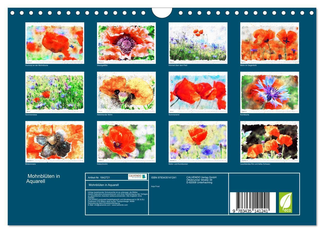 Bild: 9783435141241 | Mohnblüten in Aquarell (Wandkalender 2025 DIN A4 quer), CALVENDO...