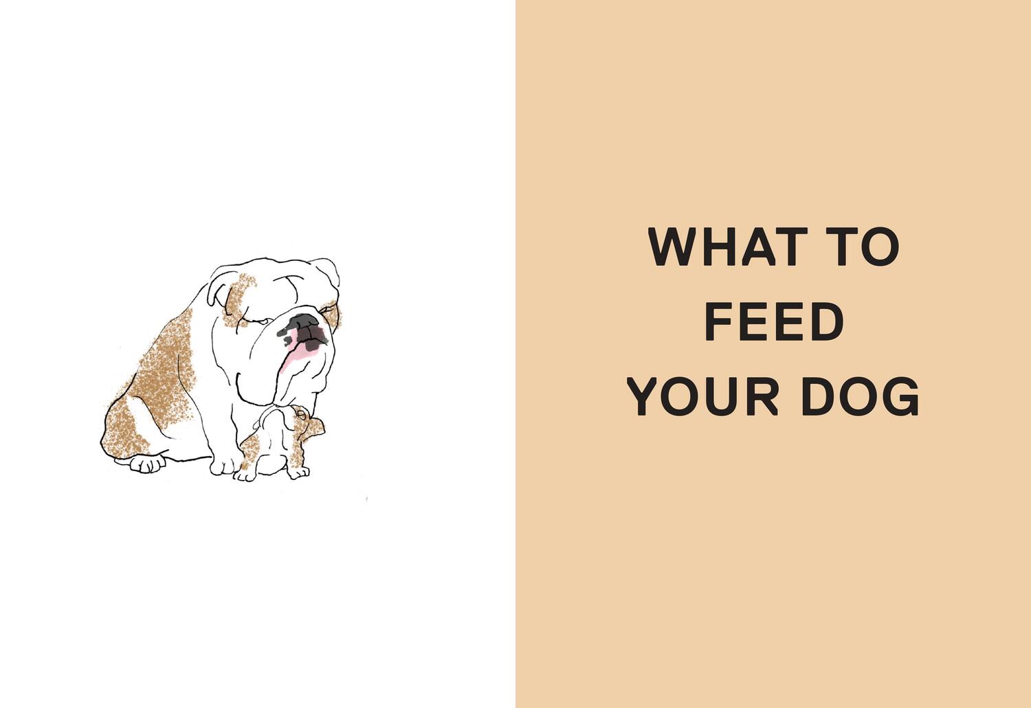 Bild: 9780714877402 | Feed Me | 50 Home Cooked Meals for your Dog | Liviana Prola | Buch
