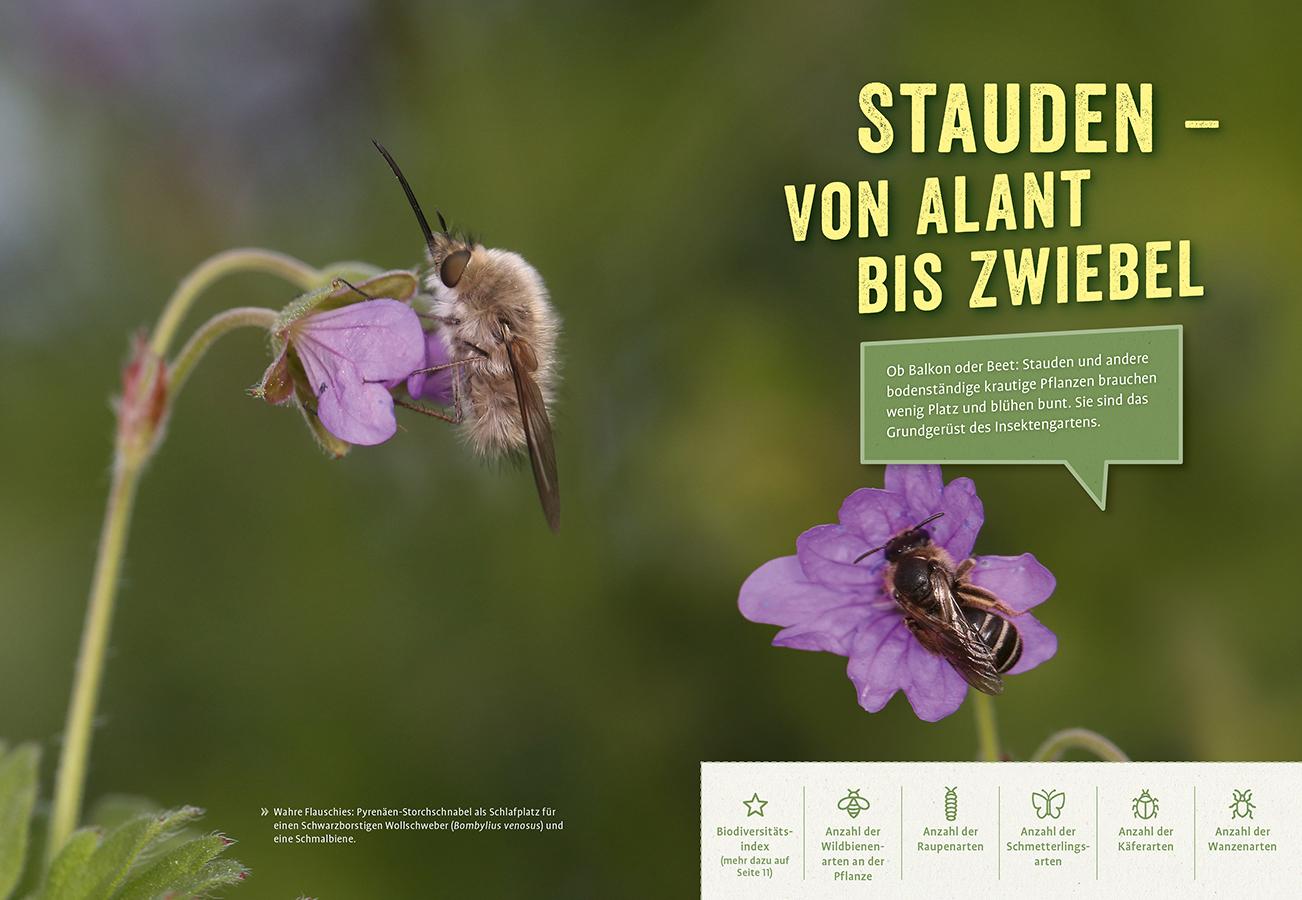 Bild: 9783818623906 | Richtig gute Pflanzen für Insekten | Elke Schwarzer | Taschenbuch