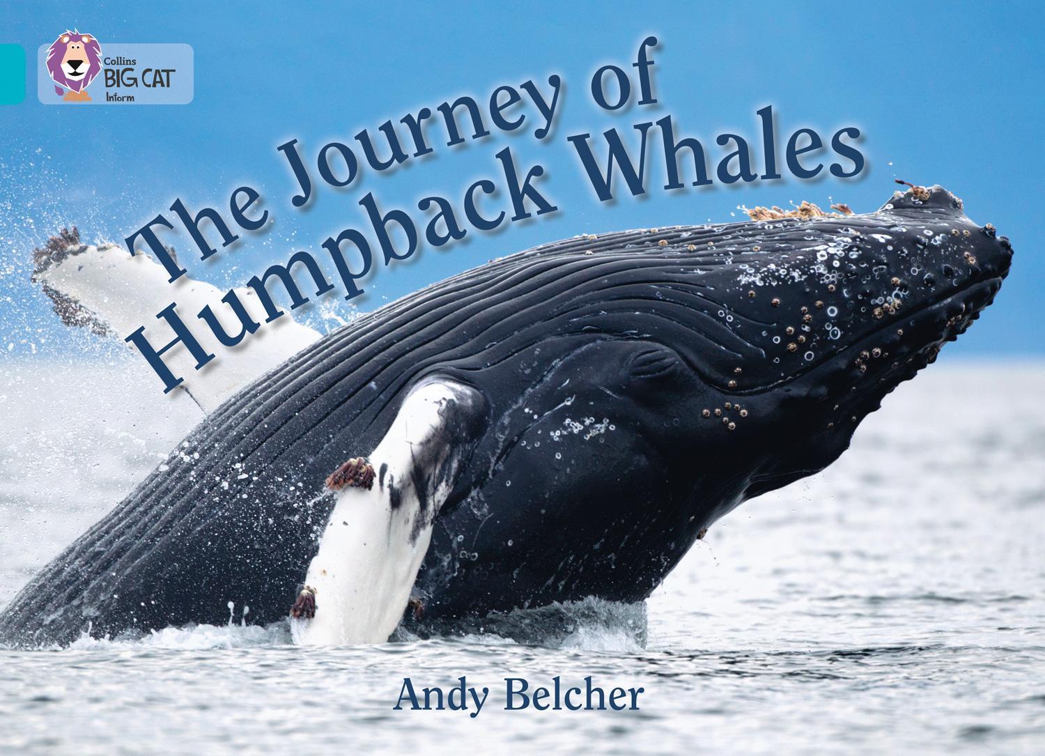 Cover: 9780007461820 | The Journey of Humpback Whales | Andy Belcher | Taschenbuch | Englisch