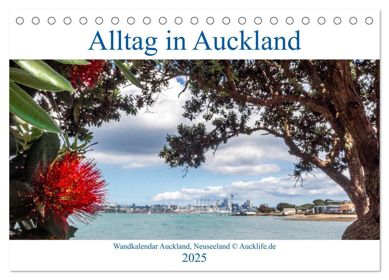 Cover: 9783435281503 | Wandkalender Auckland 2025 DIN A4 Quer (Tischkalender 2025 DIN A5...