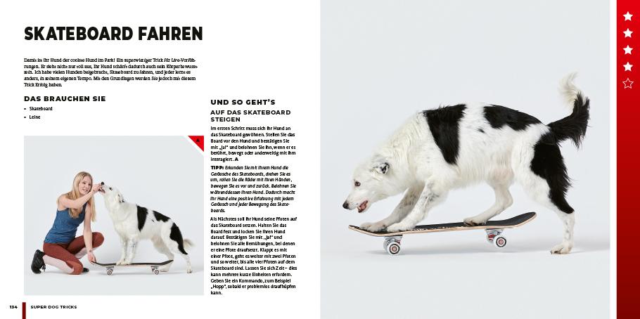 Bild: 9783818617615 | Super Dog Tricks | Sara Carson | Taschenbuch | 176 S. | Deutsch | 2023