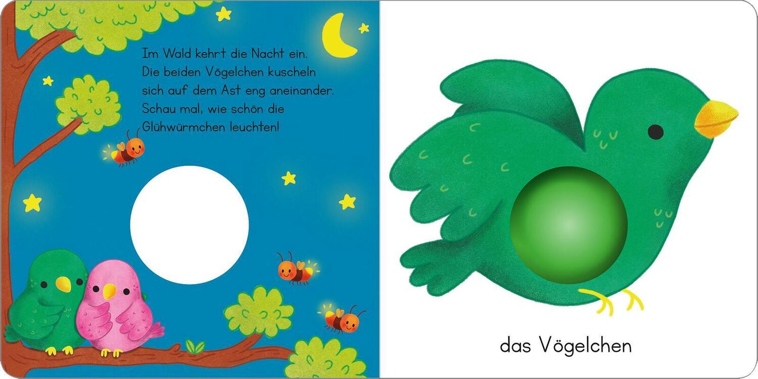 Bild: 9783845851310 | Mein erstes Pop-it-Buch - Frecher Frosch | Plopp! | Buch | 10 S.