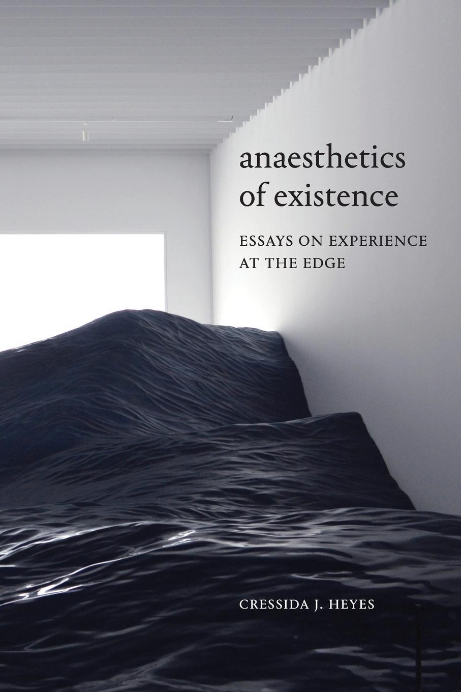 Cover: 9781478008262 | Anaesthetics of Existence | Essays on Experience at the Edge | Heyes