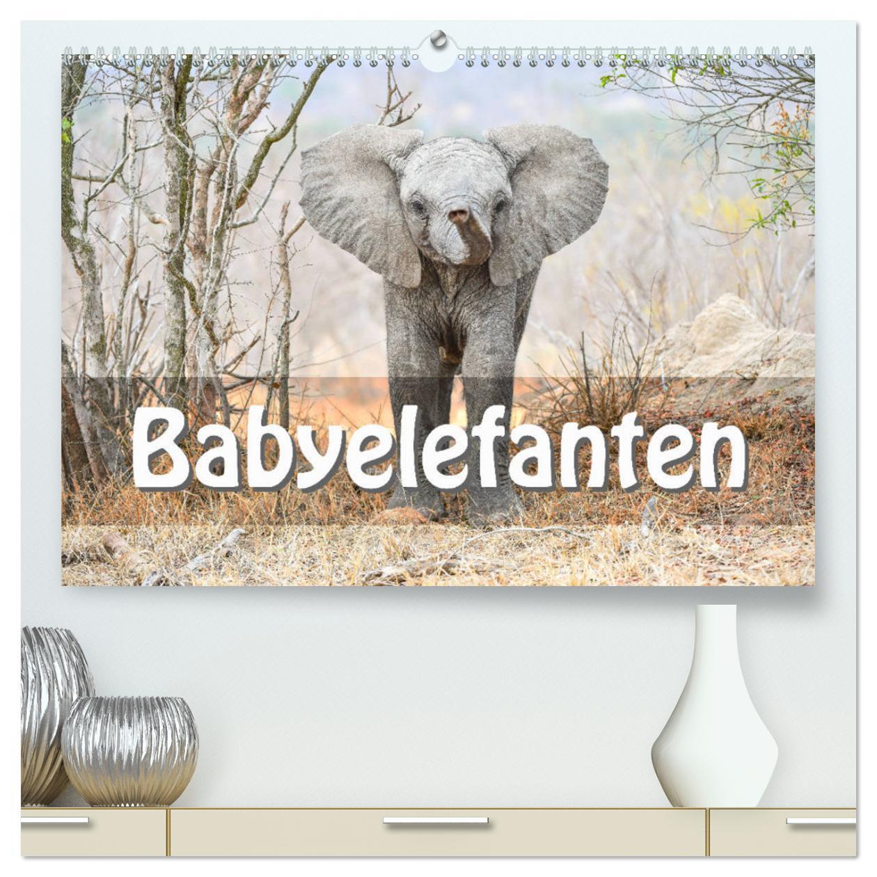 Cover: 9783383017278 | Babyelefanten (hochwertiger Premium Wandkalender 2024 DIN A2 quer),...