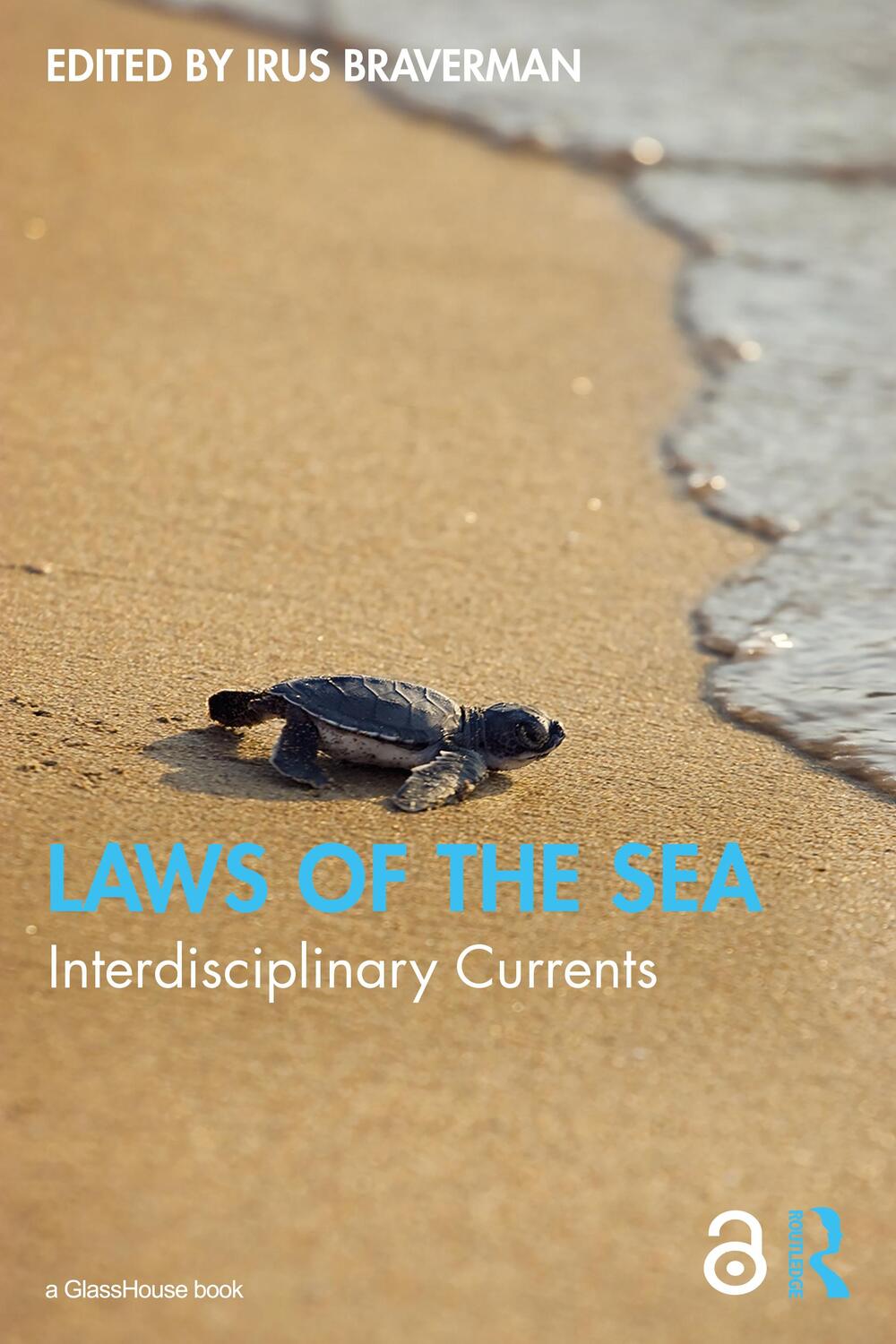 Cover: 9781032070629 | Laws of the Sea | Interdisciplinary Currents | Irus Braverman | Buch