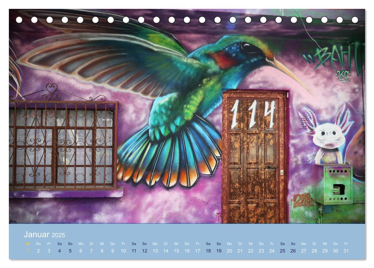 Bild: 9783435137534 | Mexikanische Graffitis (Tischkalender 2025 DIN A5 quer), CALVENDO...