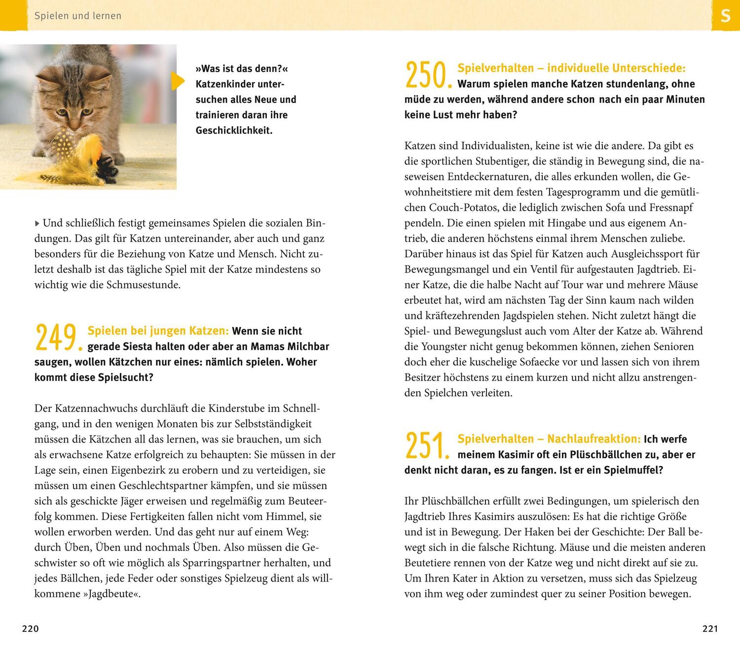 Bild: 9783833852152 | 300 Fragen zum Katzenverhalten | Experten-Tipps aus der Praxis | Buch