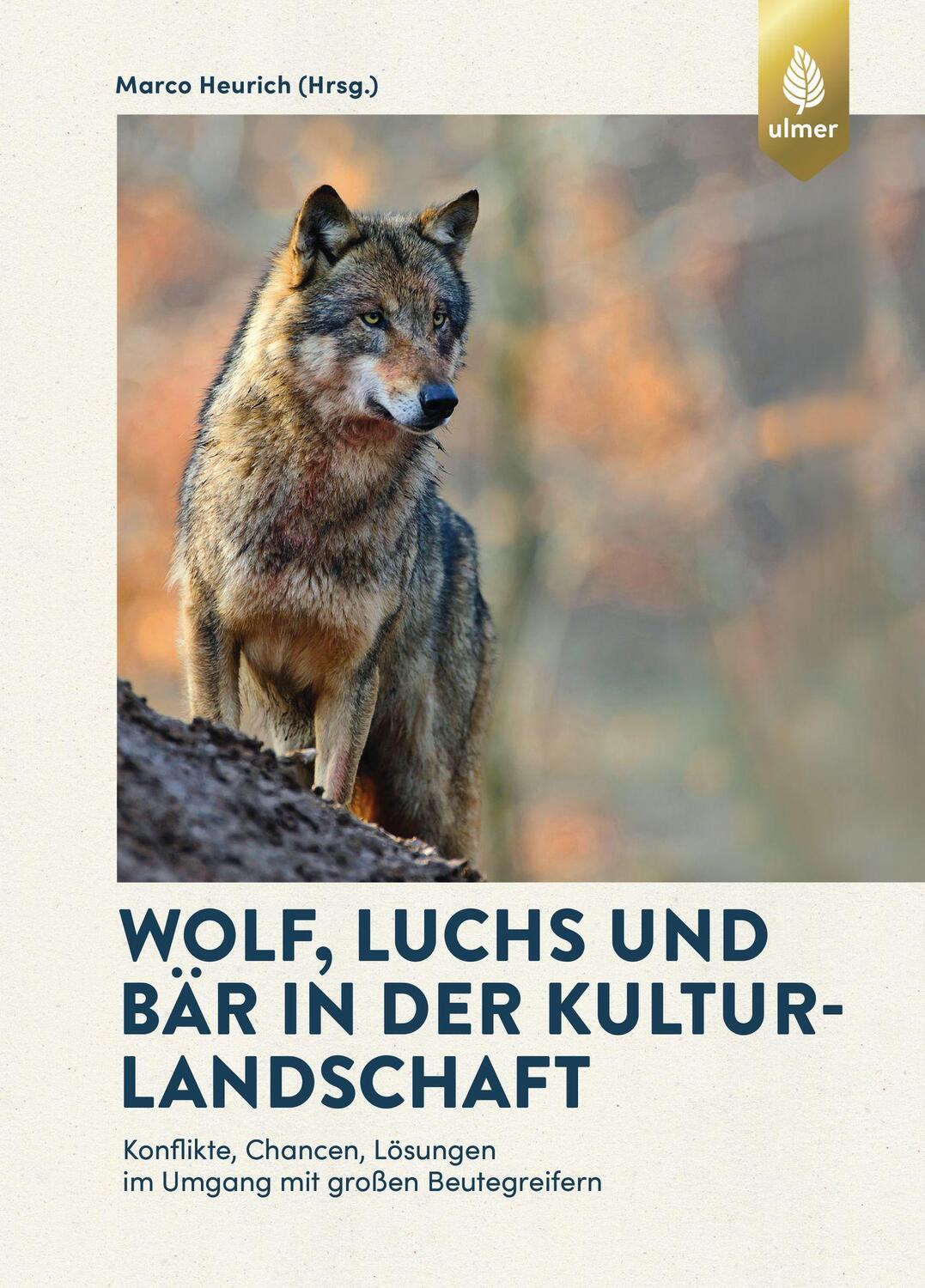 Cover: 9783818605056 | Wolf, Luchs und Bär in der Kulturlandschaft | Marco Heurich | Buch