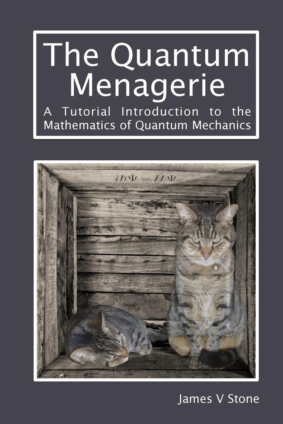 Cover: 9781916279100 | The Quantum Menagerie | James V Stone | Taschenbuch | Paperback | 2020