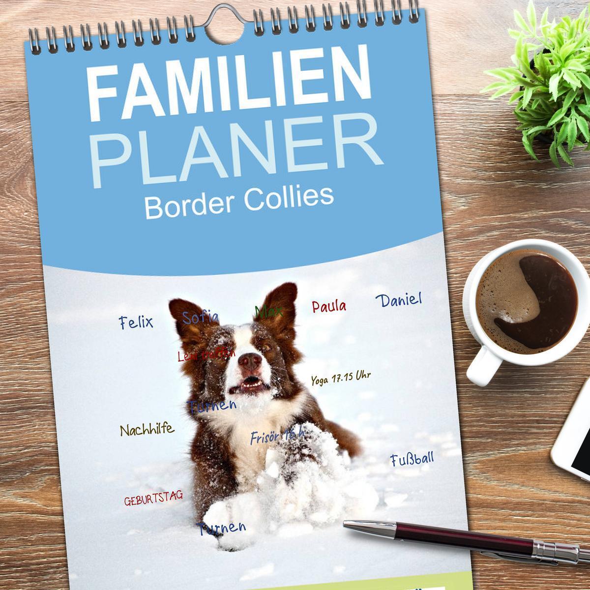 Bild: 9783457110454 | Familienplaner 2025 - Border Collies mit 5 Spalten (Wandkalender,...