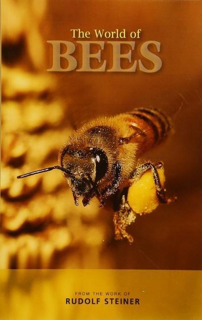 Cover: 9781855845404 | The World of Bees | Rudolf Steiner | Taschenbuch | Englisch | 2017