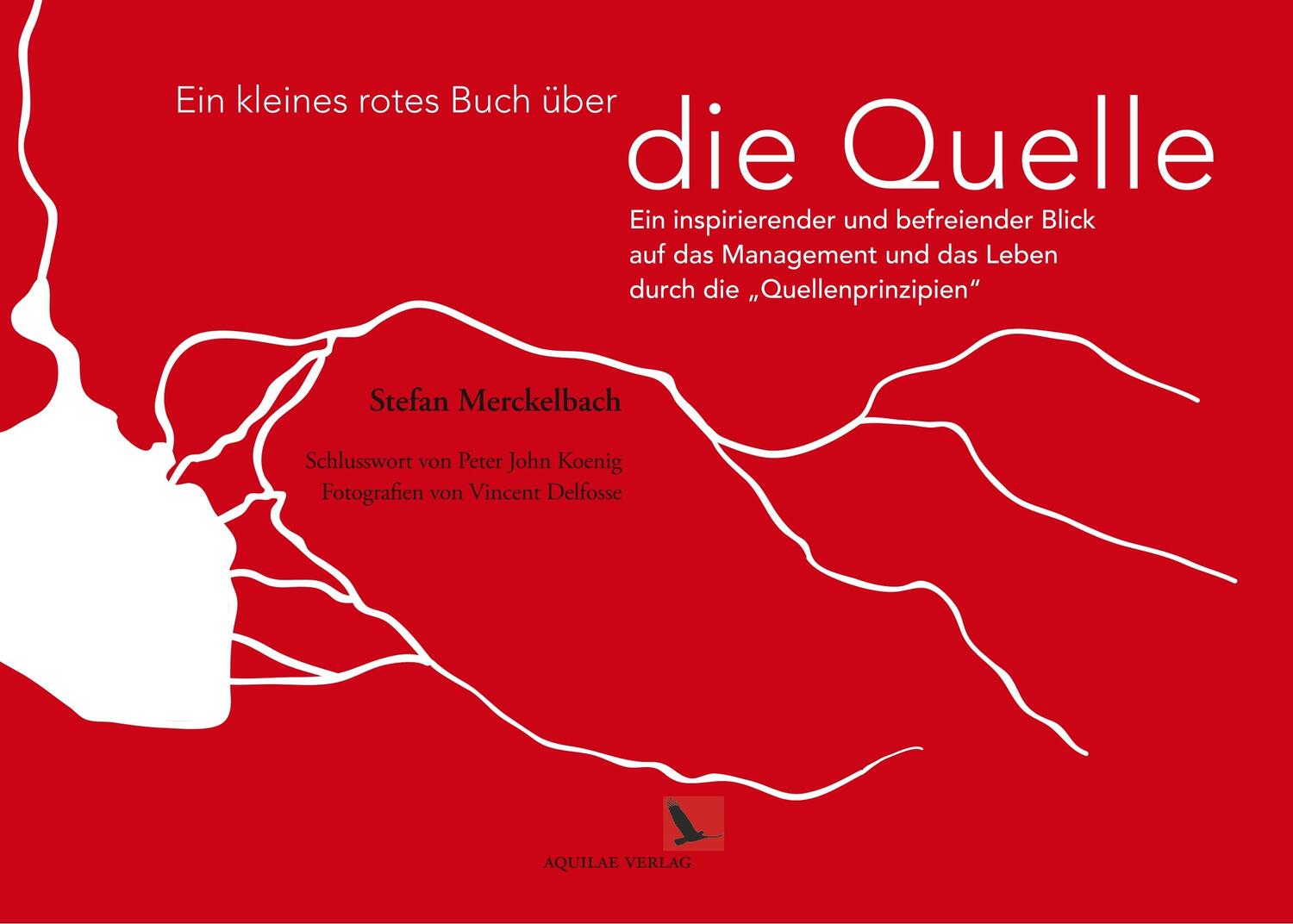 Cover: 9782970108764 | Ein kleines rotes Buch über die Quelle | Stefan Merckelbach | Buch