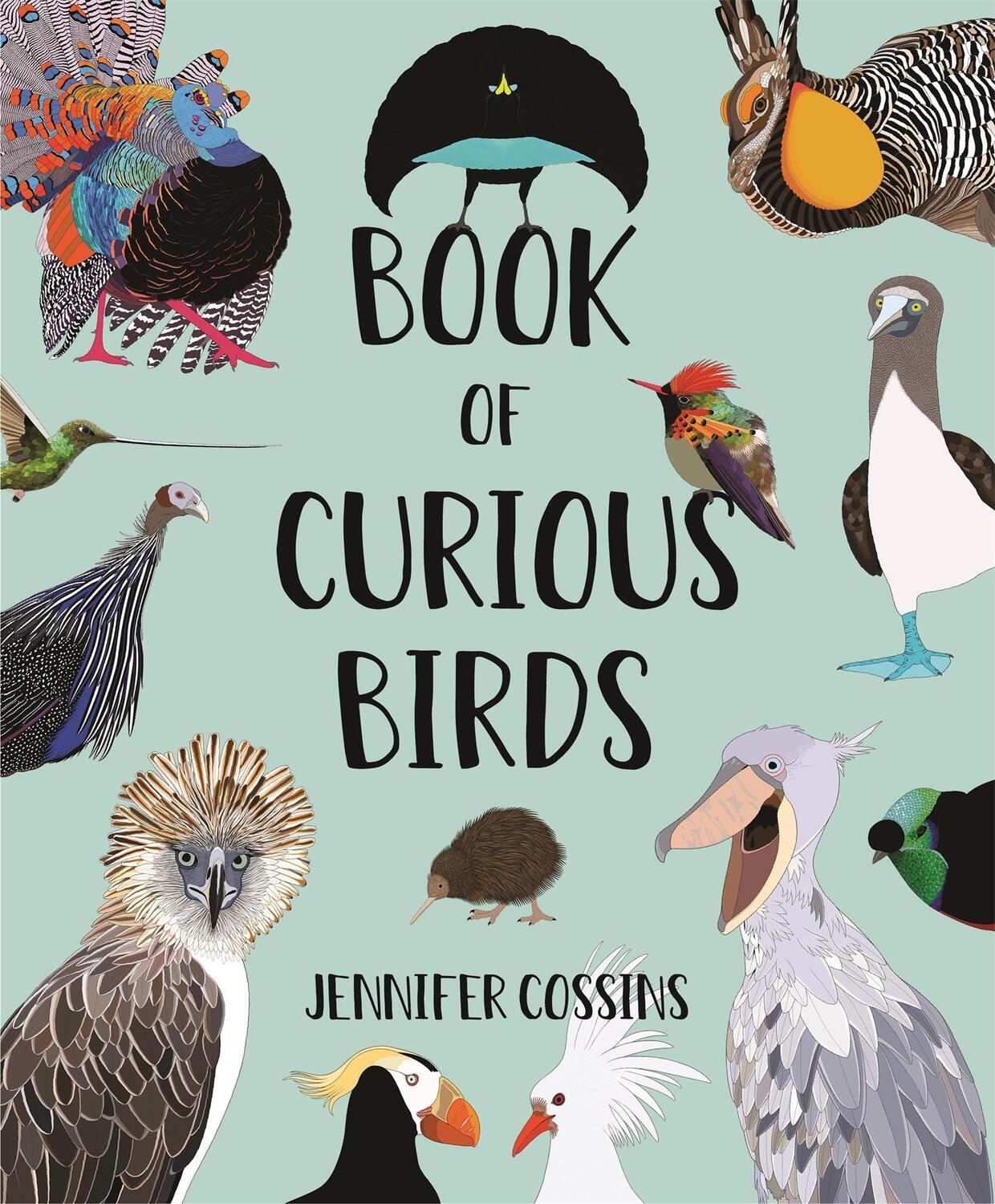 Cover: 9780734420473 | Book of Curious Birds | Jennifer Cossins | Buch | Gebunden | Englisch