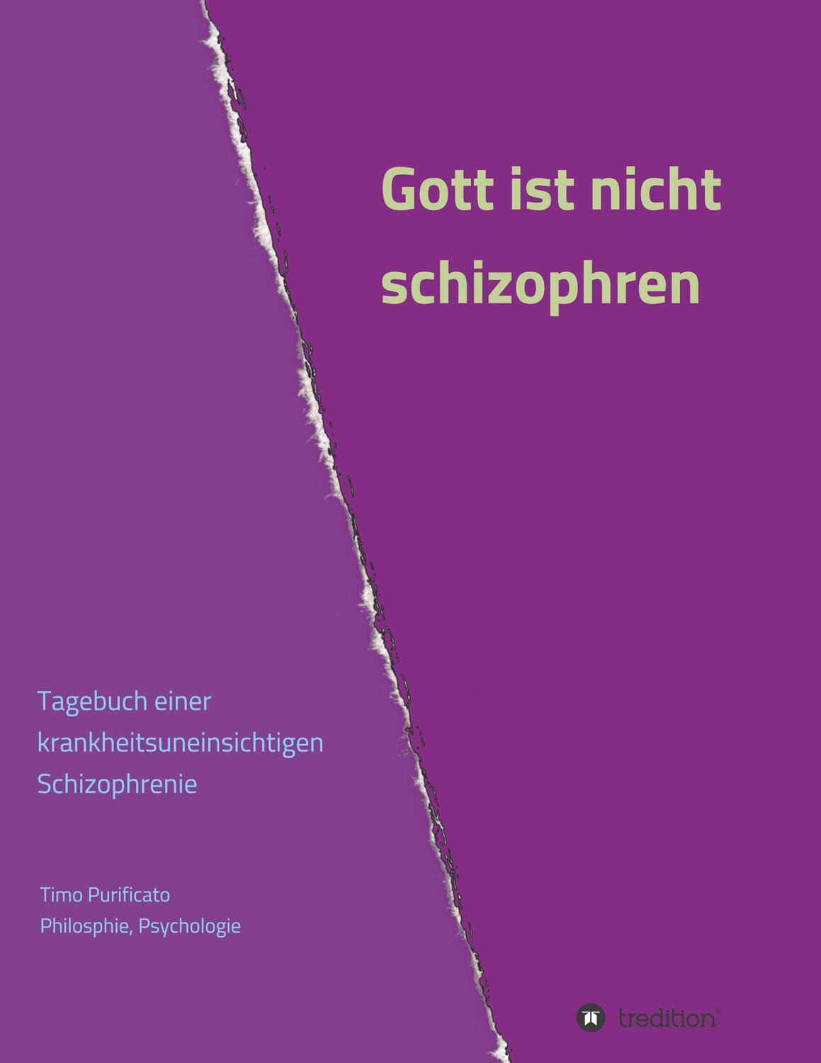 Cover: 9783748214540 | Gott ist nicht schizophren | Timo Purificato | Taschenbuch | Paperback