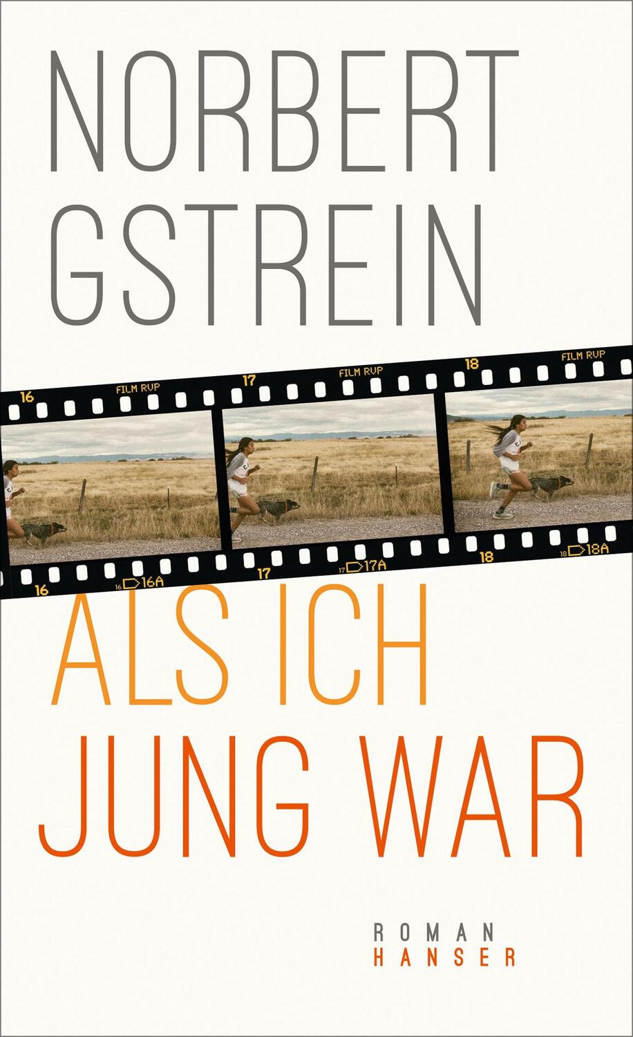 Cover: 9783446263710 | Als ich jung war | Roman | Norbert Gstrein | Buch | Deutsch | 2019