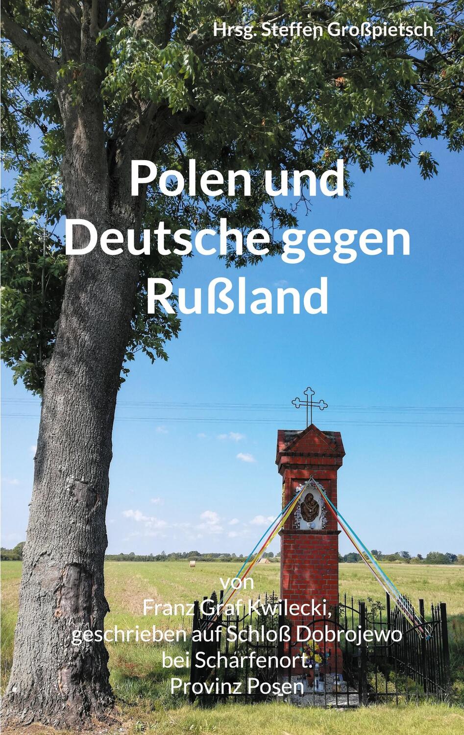 Cover: 9783755714019 | Polen und Deutsche gegen Rußland | Steffen Großpietsch | Taschenbuch