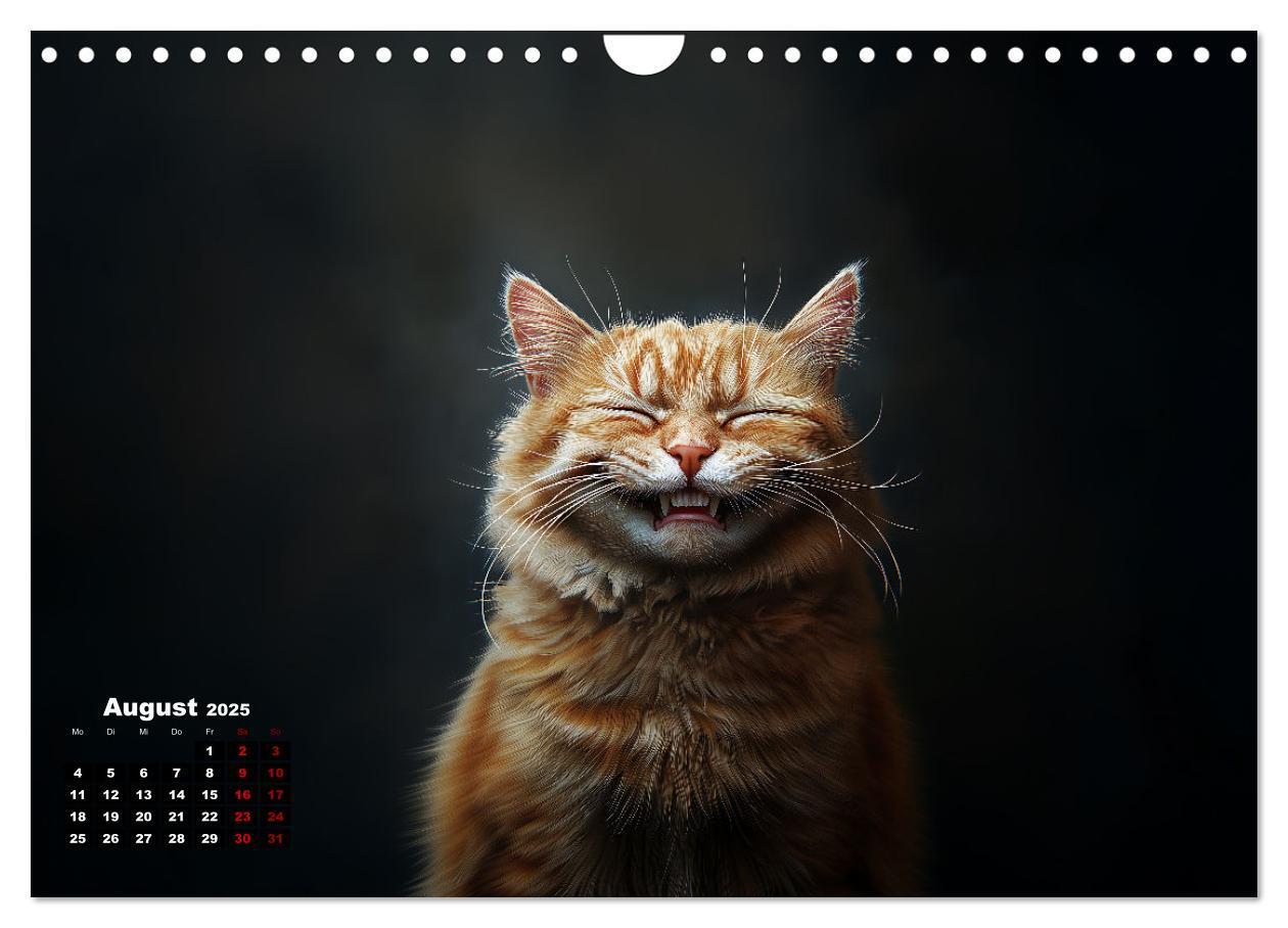 Bild: 9783457201985 | Auch Katzen lachen gern (Wandkalender 2025 DIN A4 quer), CALVENDO...