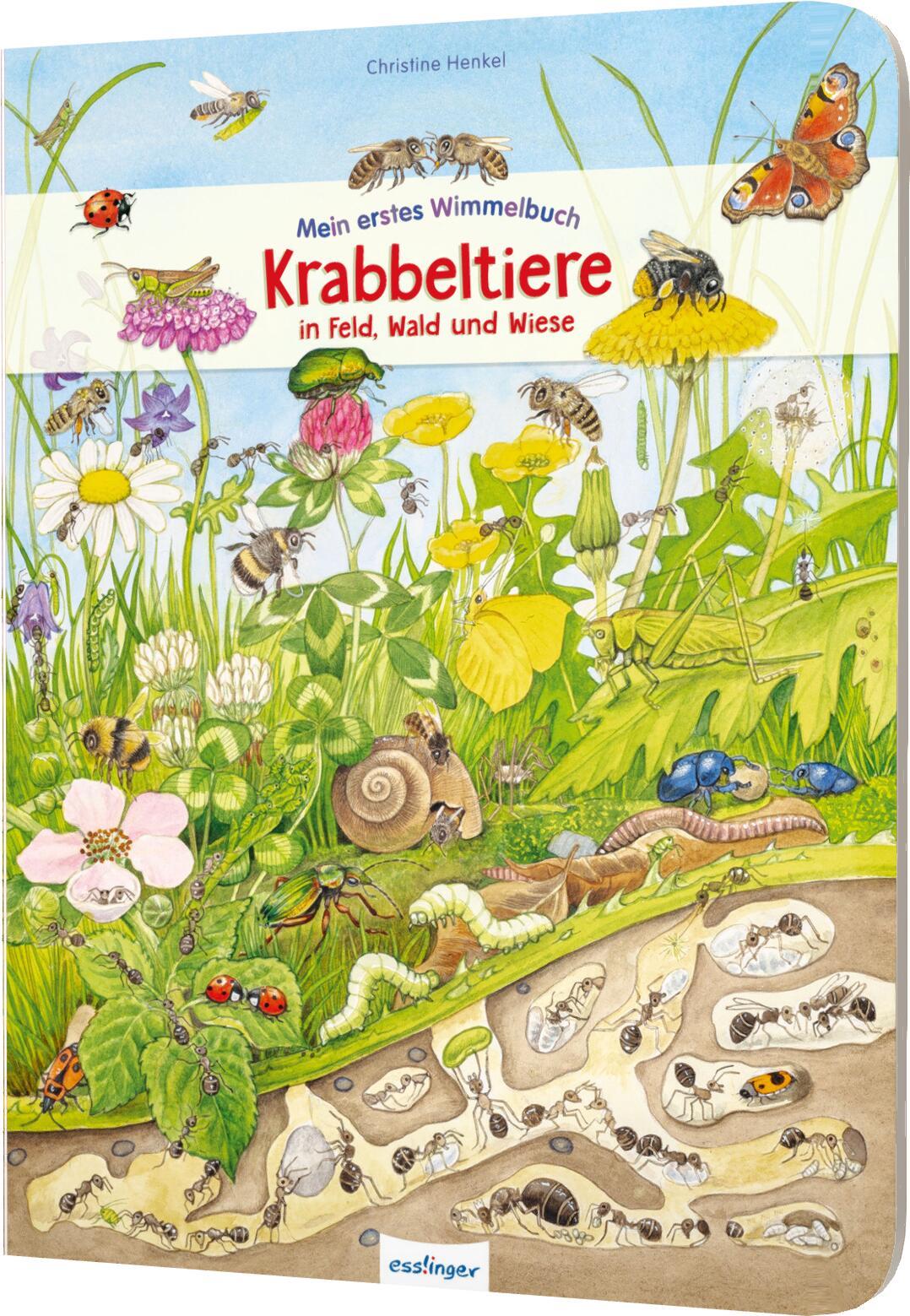 Cover: 9783480236855 | Mein erstes Wimmelbuch: Krabbeltiere in Feld, Wald und Wiese | Henkel